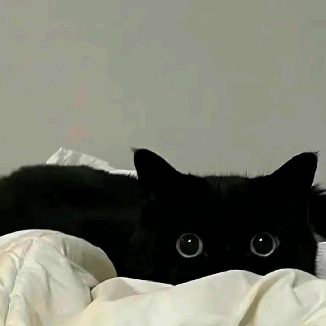 阿拉尔市百灵装饰设计有限公司