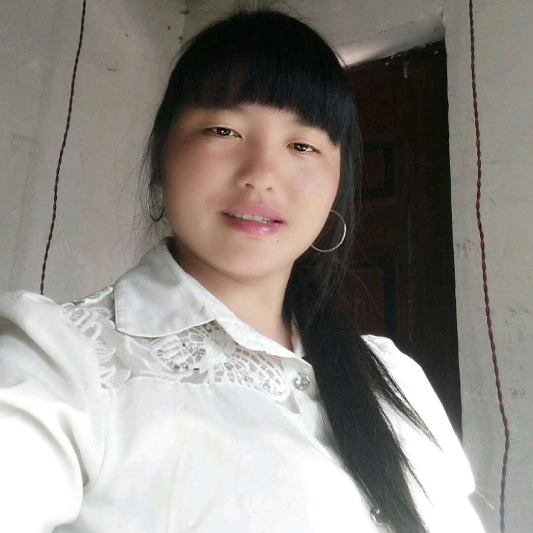 双双飞