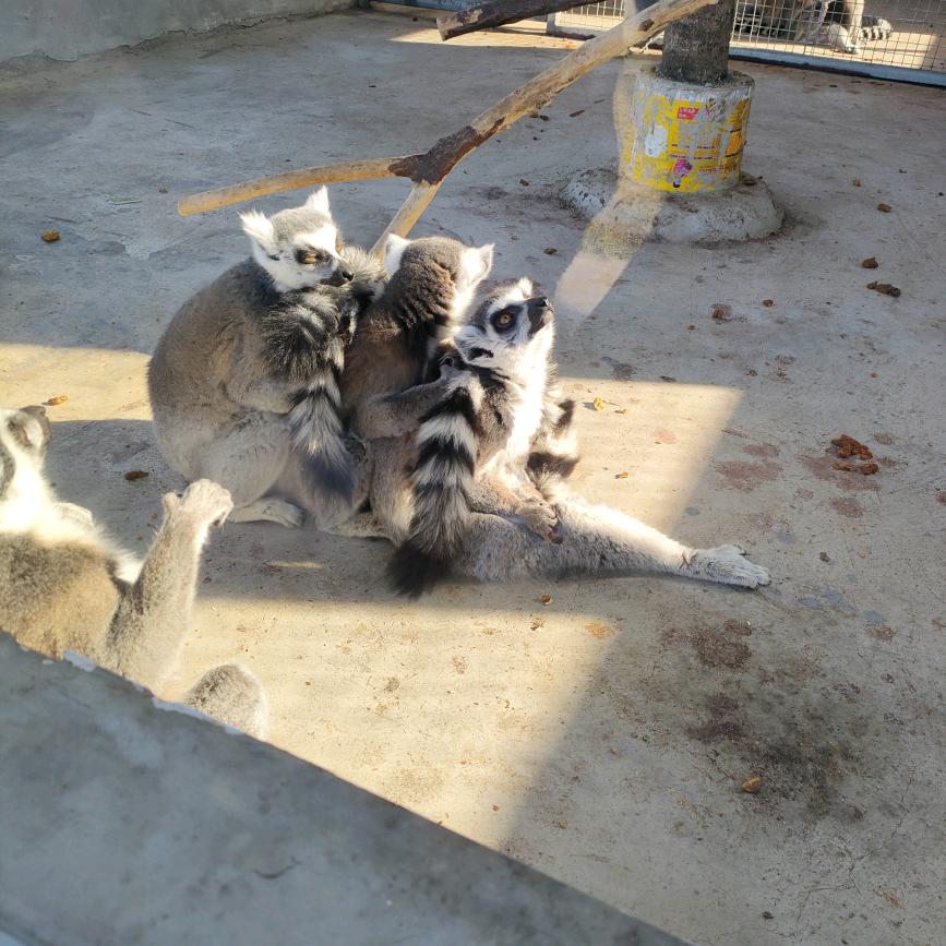 我的快乐就是你