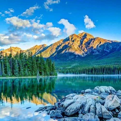 涛哥爱唱歌正在直播