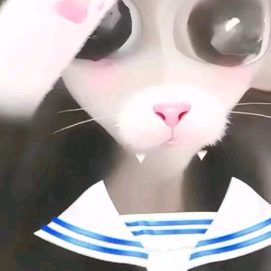 桐桐桐头像