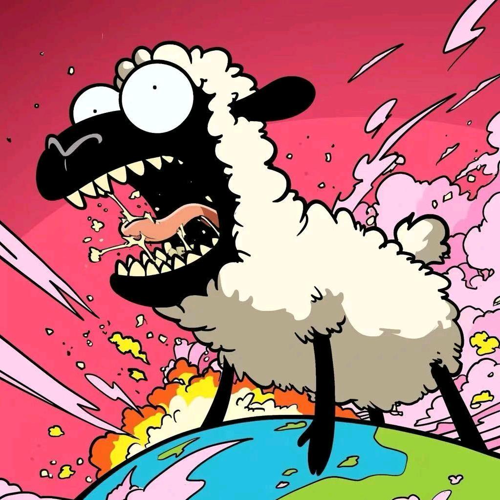 🐑阿里嘎多美洋洋桑🐑