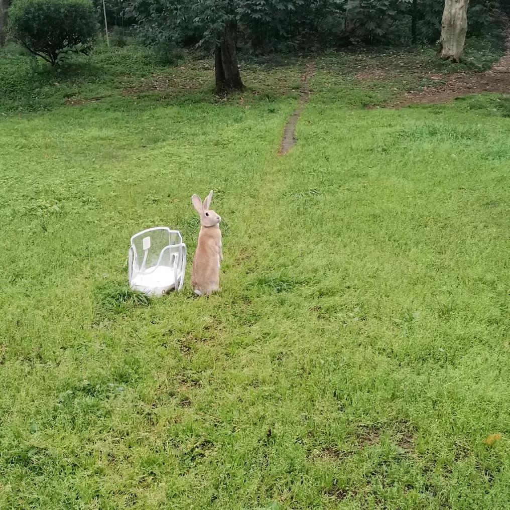 我服了呀🌕 🌑