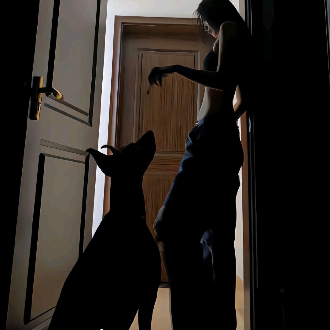 金刚大暴龙女战士