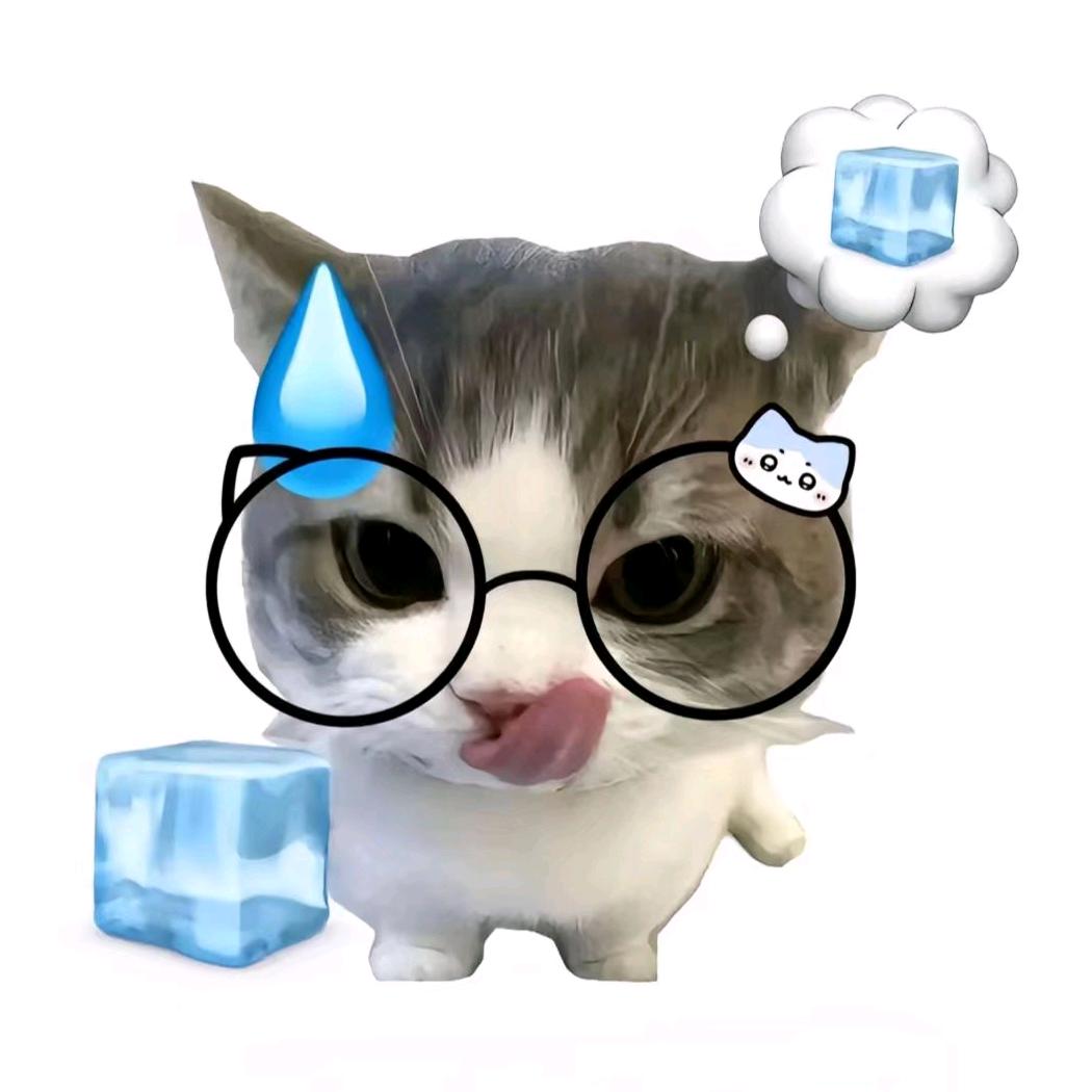 小雨鱼块