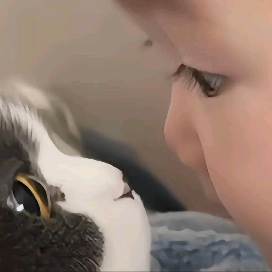 我要像熊二一样