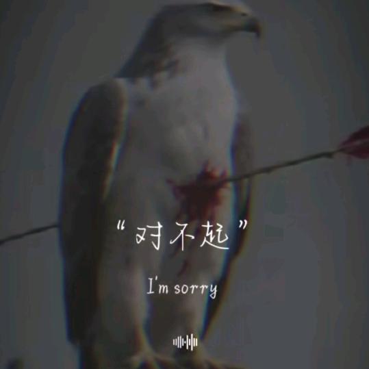 ᭄💞: ࿔༎࿔始于颜值ʚᥫ࿐