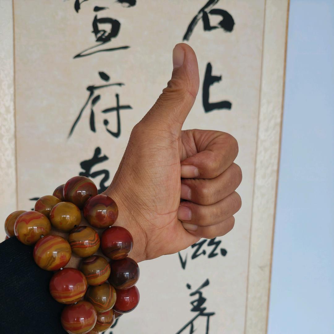 俊美珍爱战国红