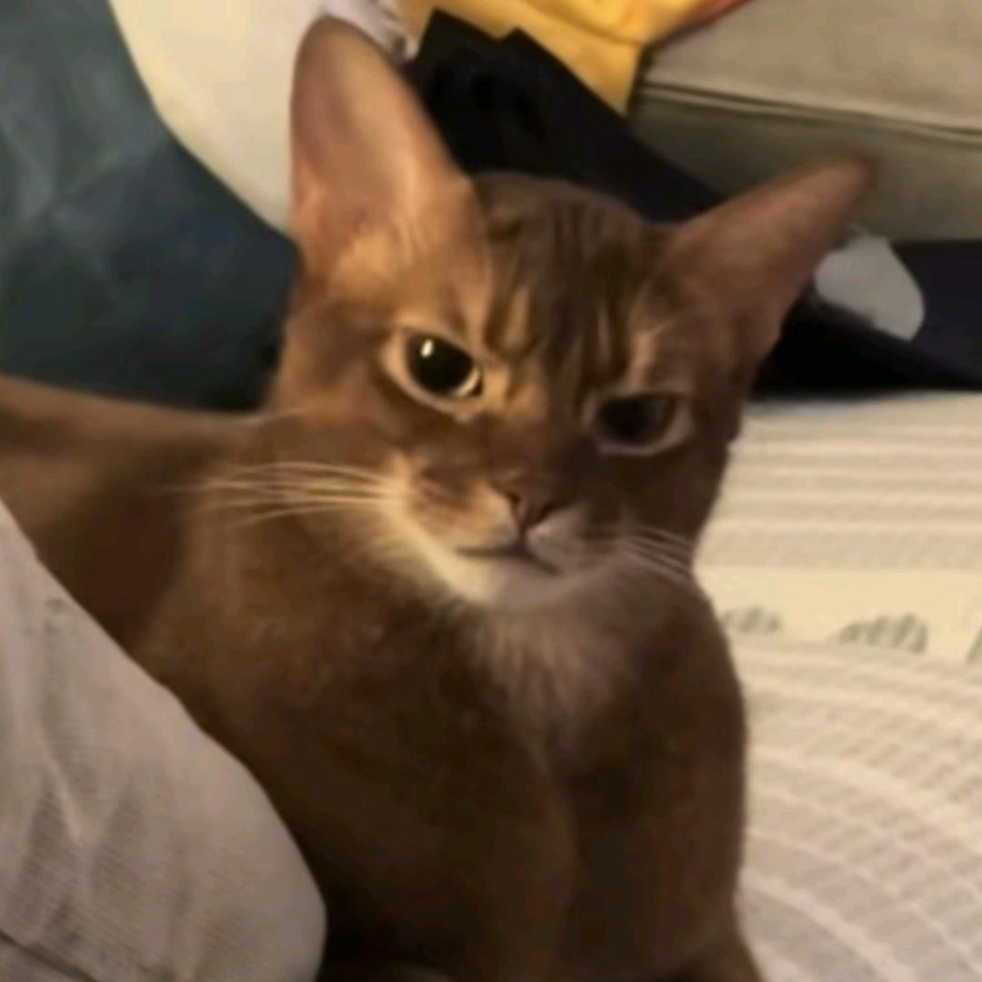 AAA五金批发徐姐