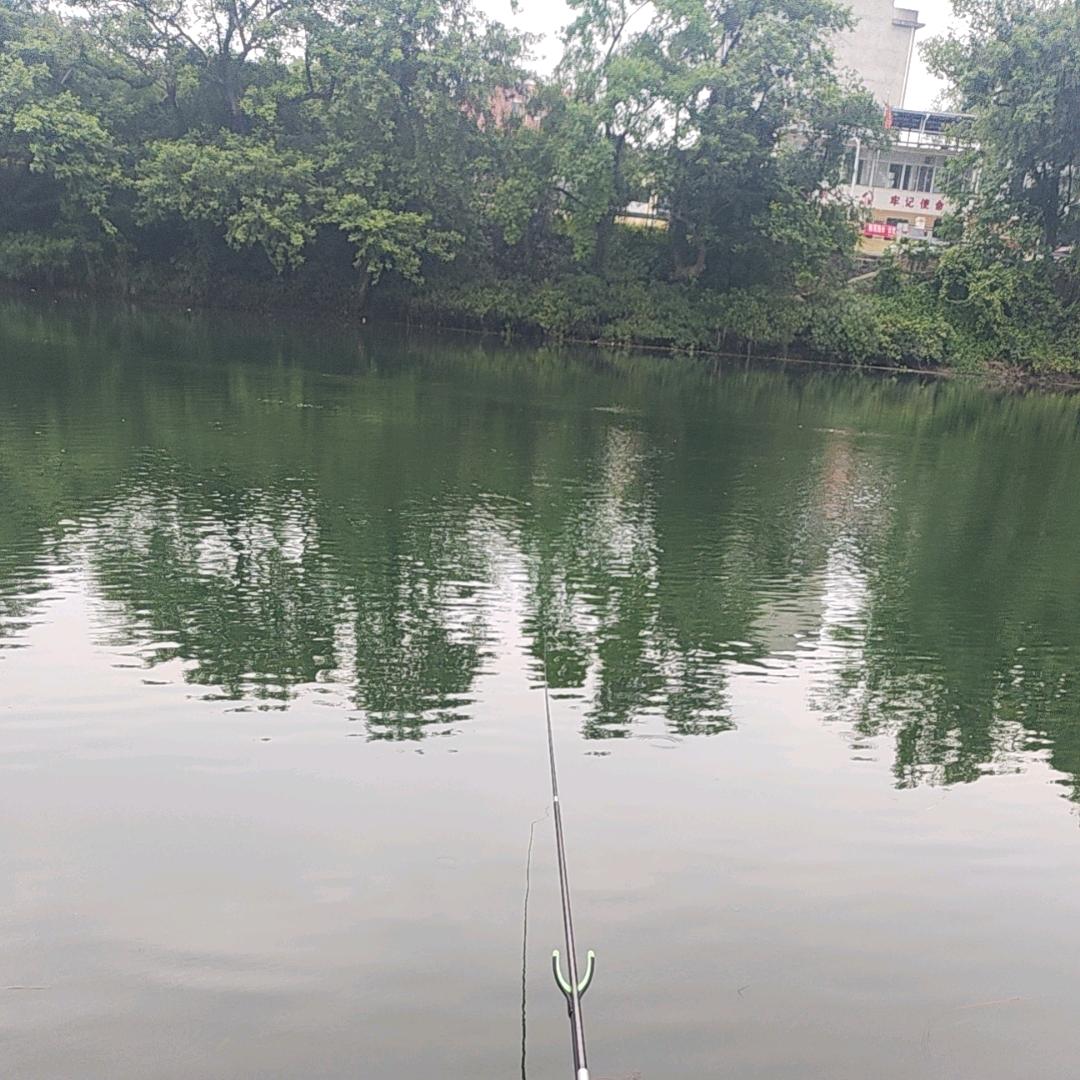 武汉市天妙威商贸黑桃