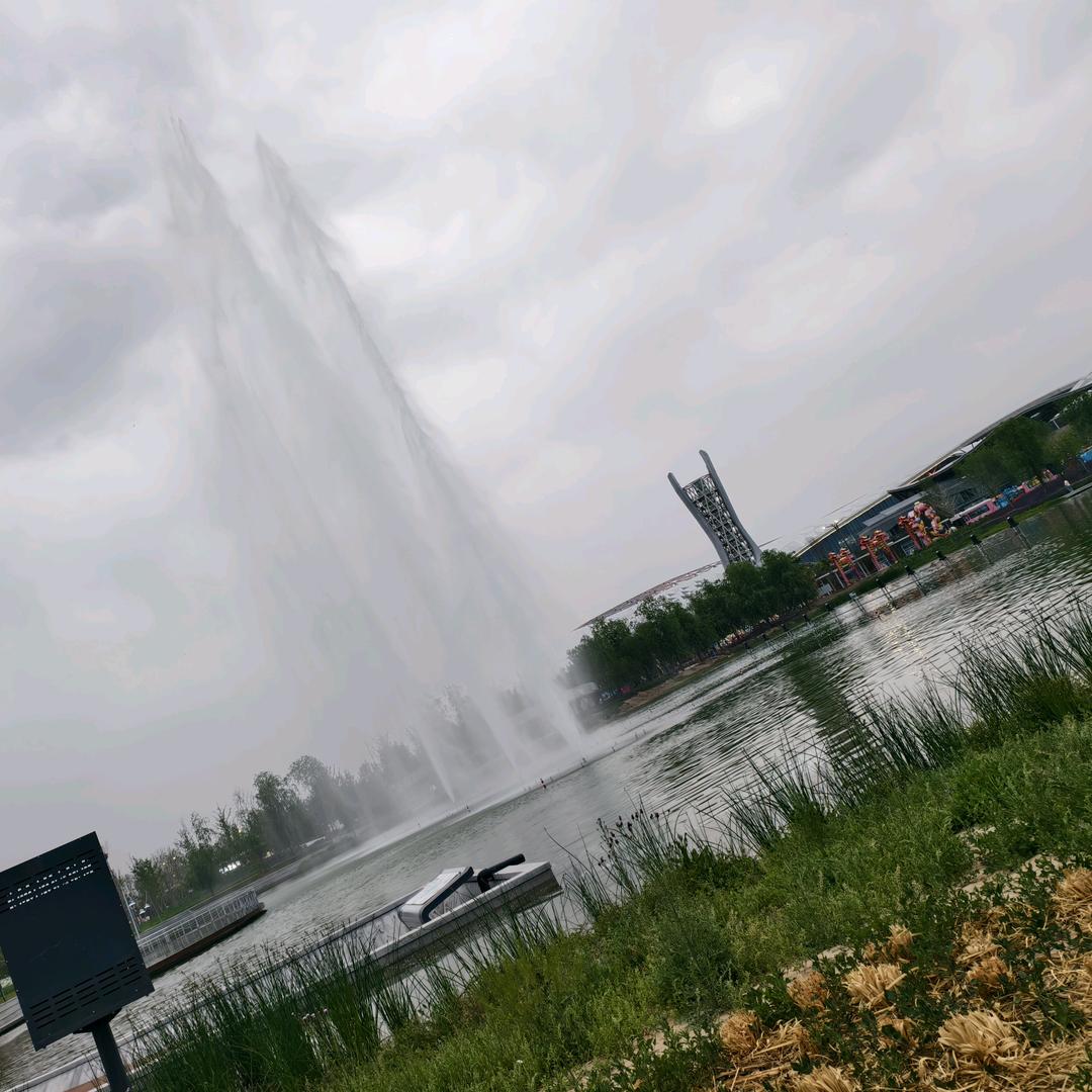 融入自然意象