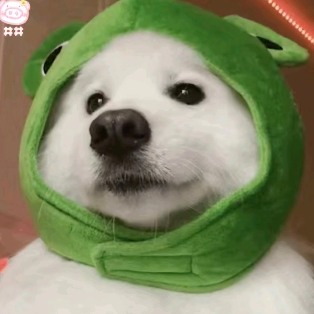 不知名大唐