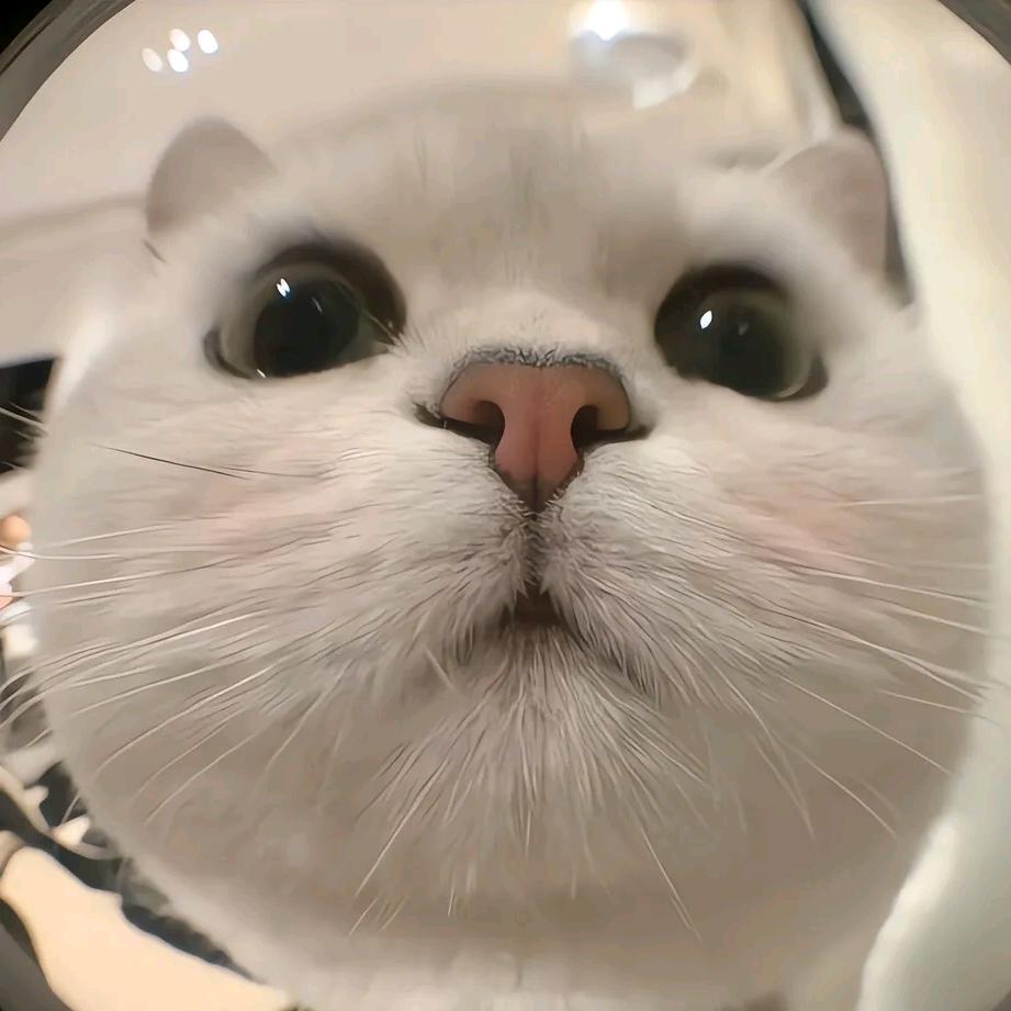 壹加壹