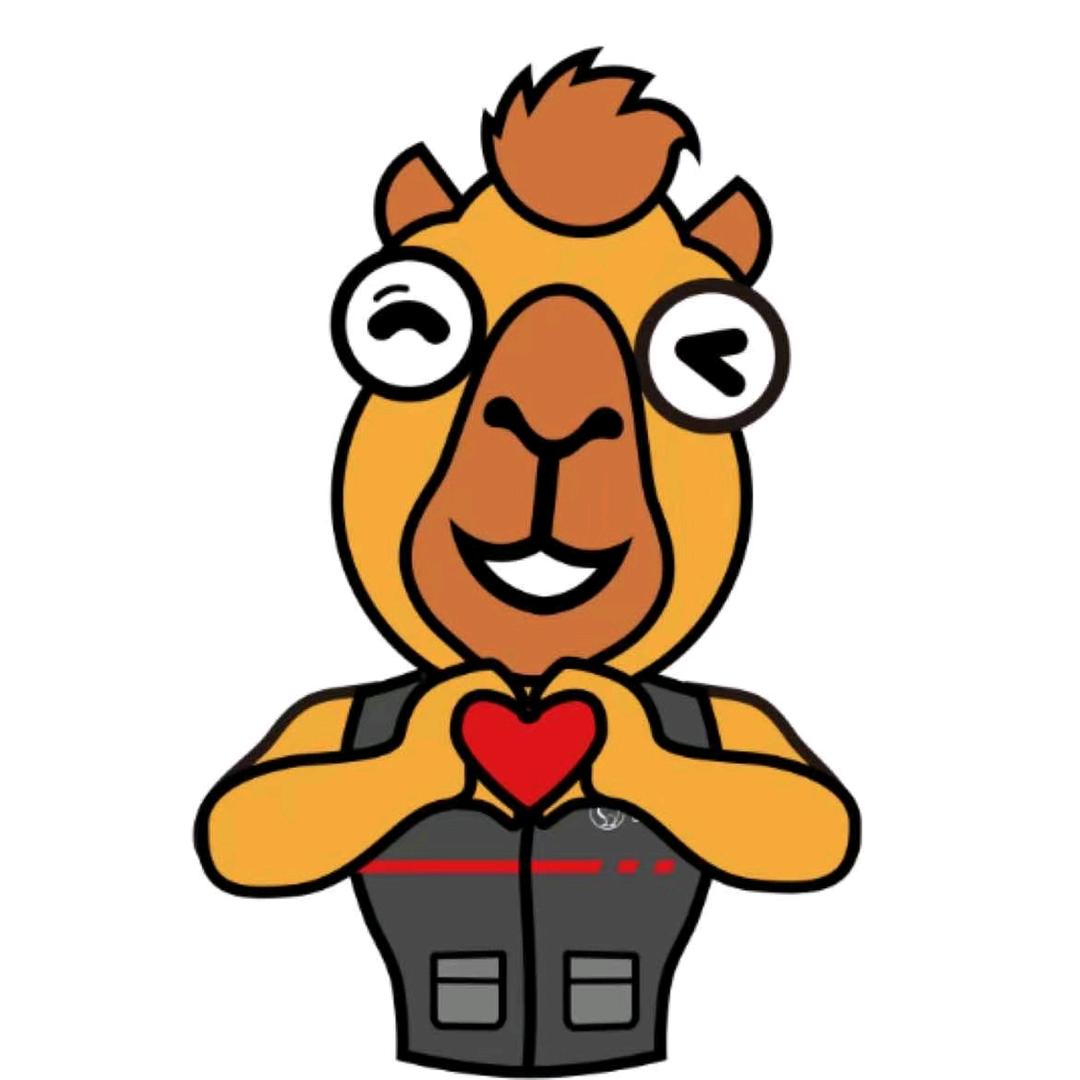 骆驼蓄电池(抚顺总代理店)