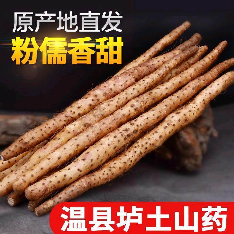 晓晓家铁棍山药