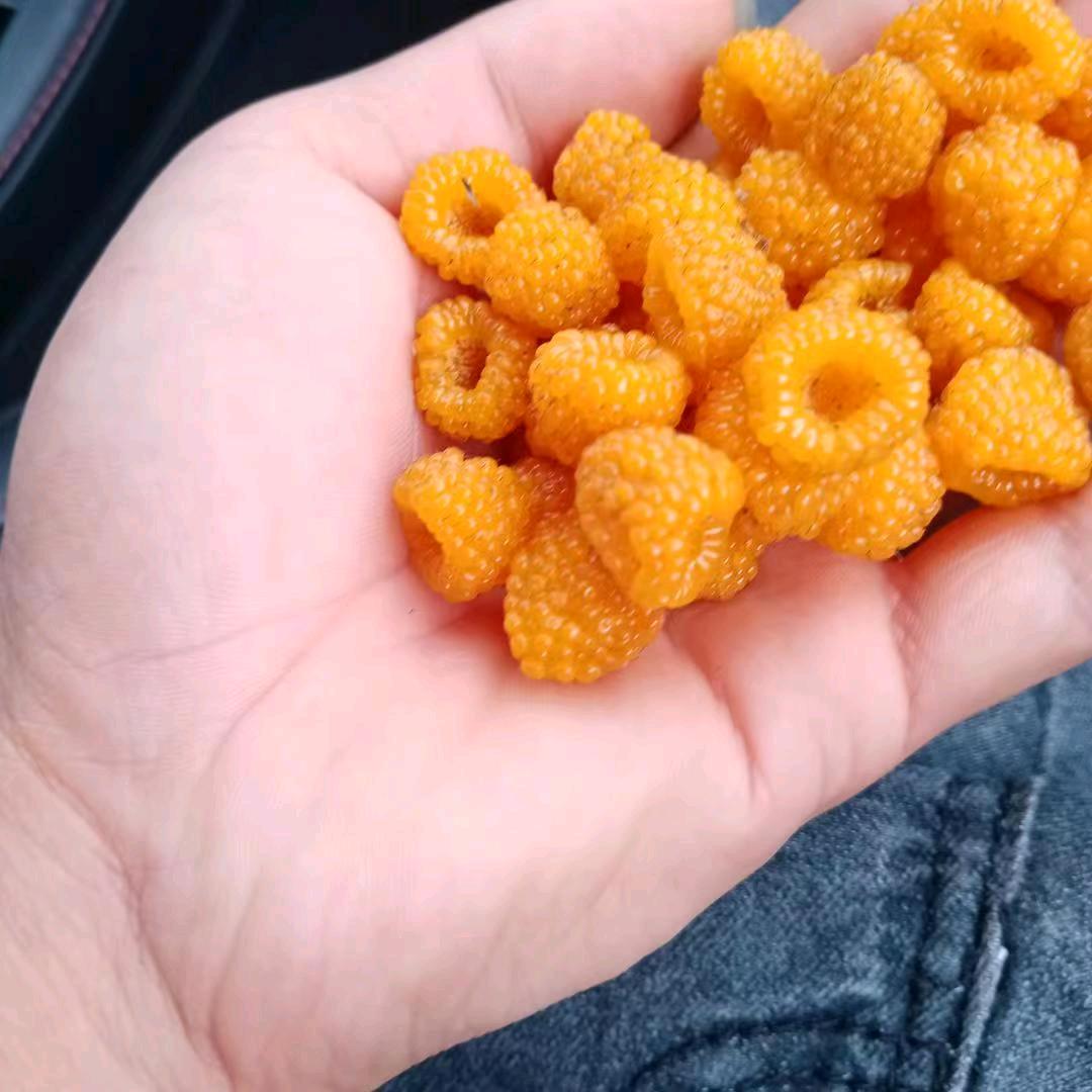 ～