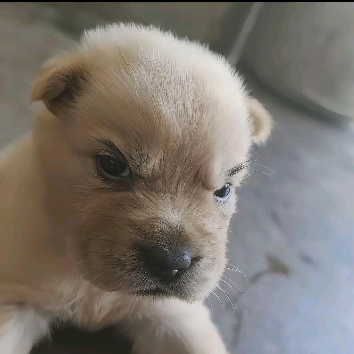陈永焜