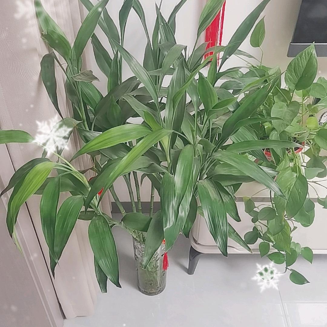 开着拖拉机迎接春天