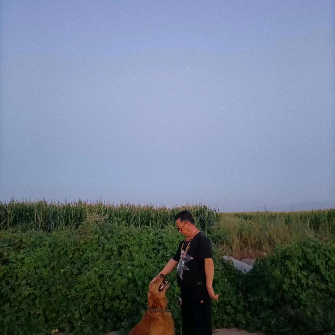 女狼之吻
