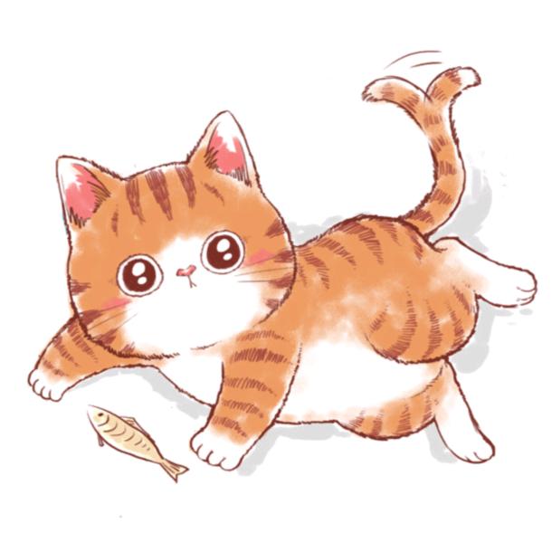 大猫爱吃鱼撩影