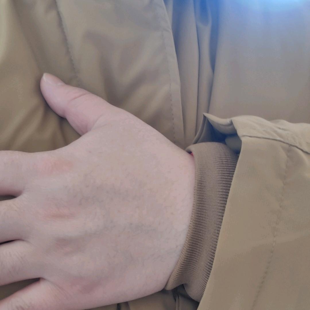 欲买桂花同载酒