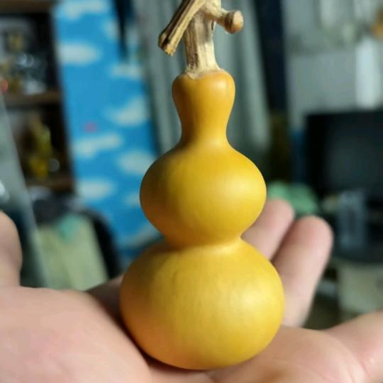 搞笑视频！飞鹰