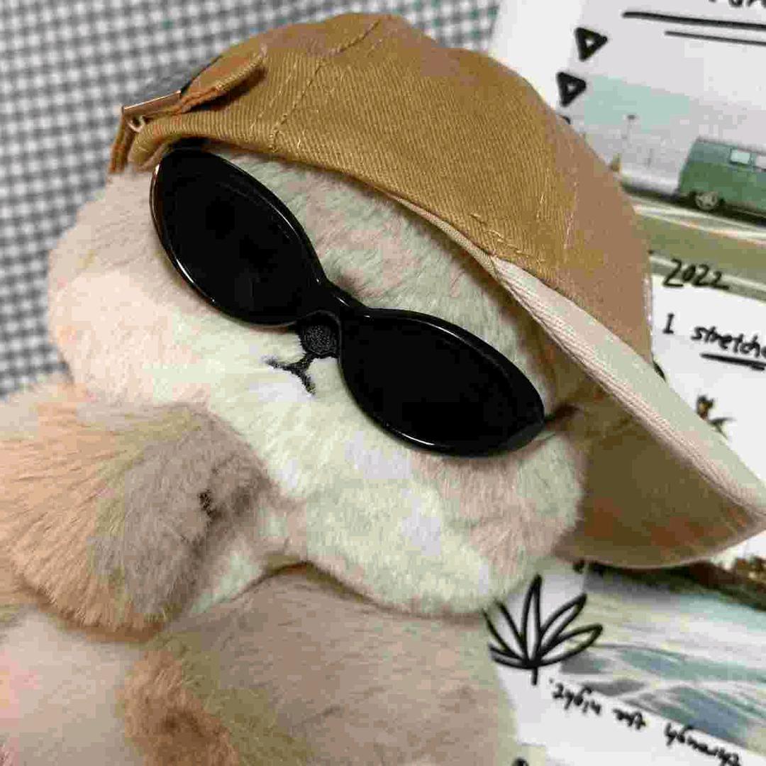 落白（三角洲行动）