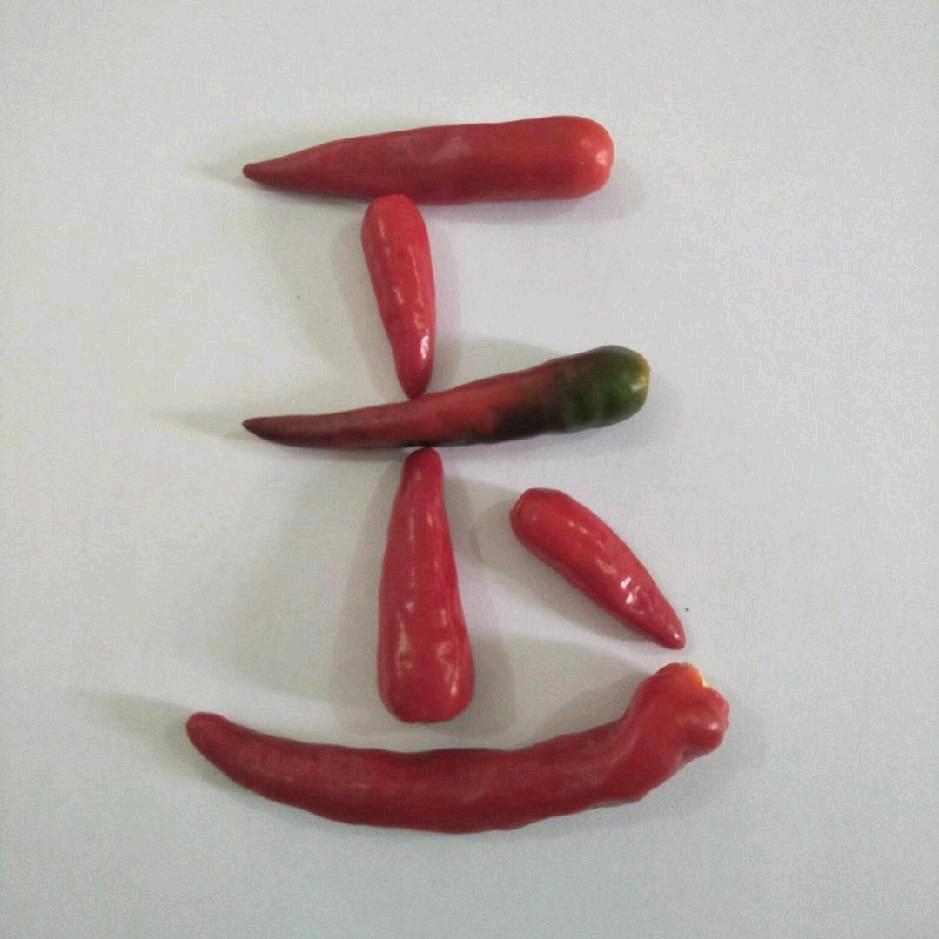 邱玉芝（徐市小玉）