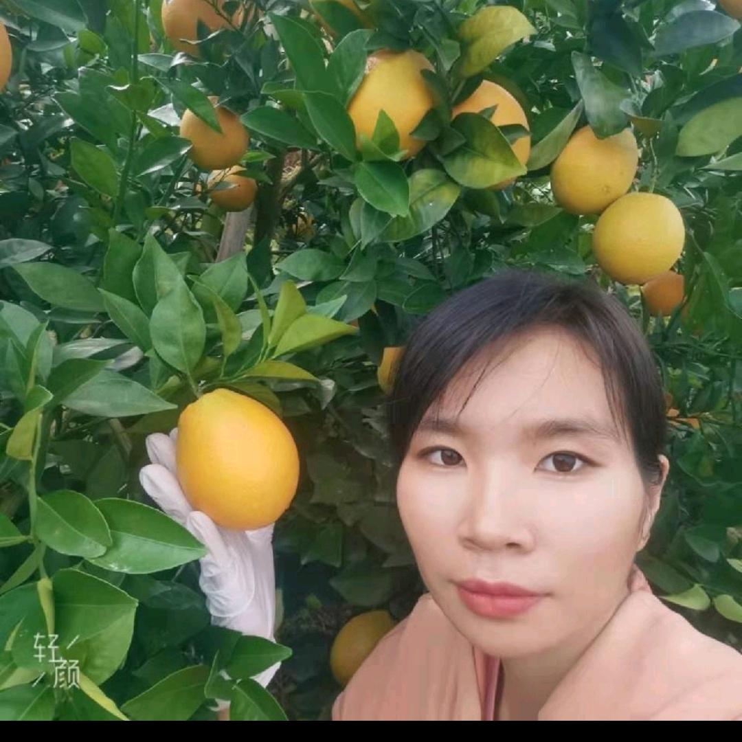 知邱(赣南橙)