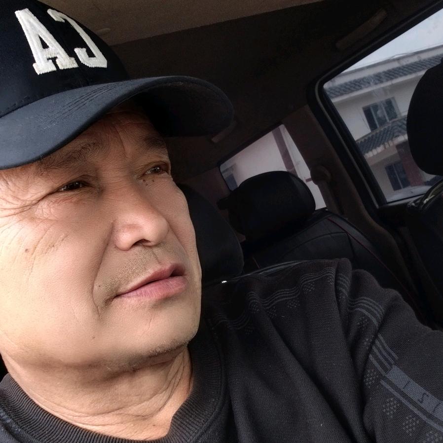 林狼盆景素材