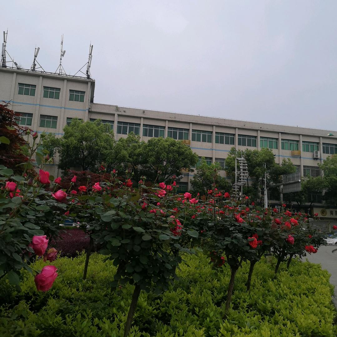 💖一生有你💖