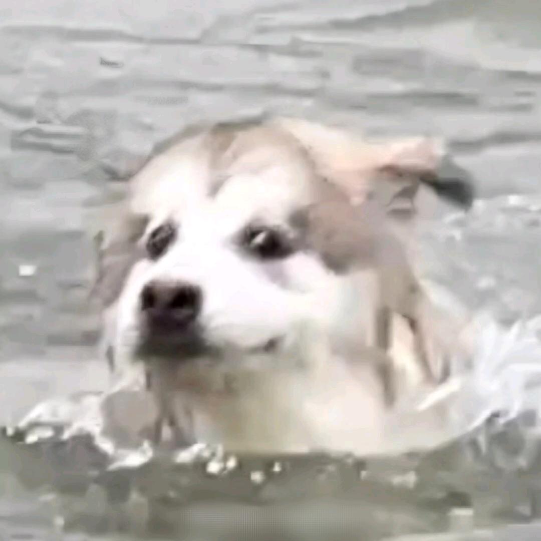 吃王俊凯的🍉.