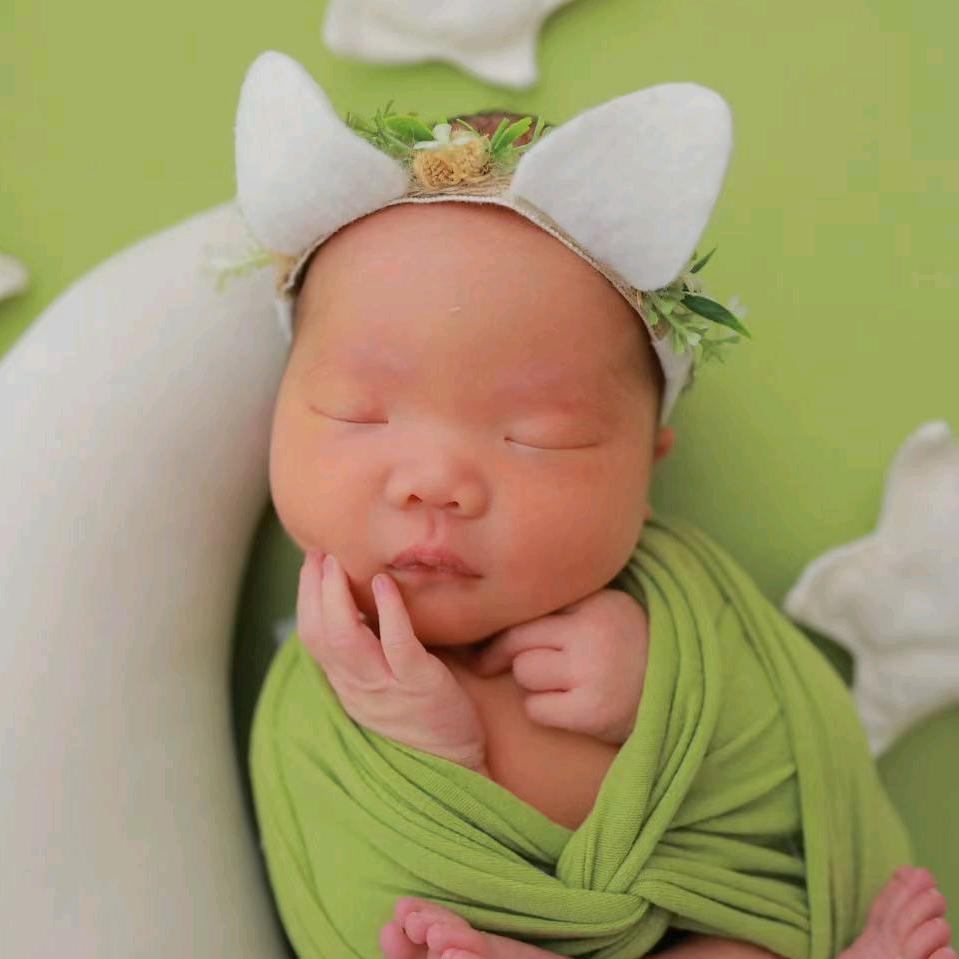 龙龙的龙龙很努力