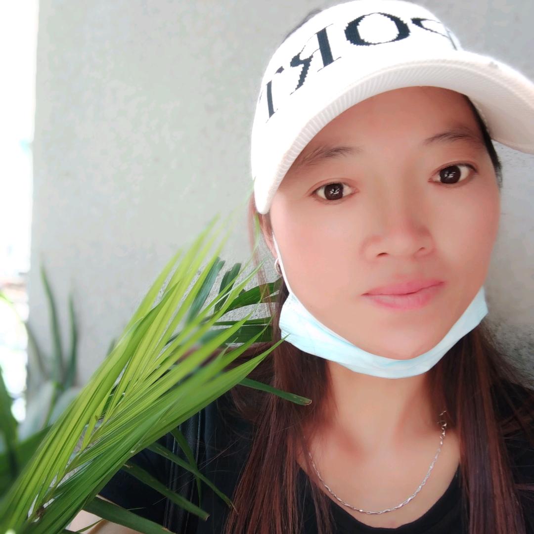 随心所欲