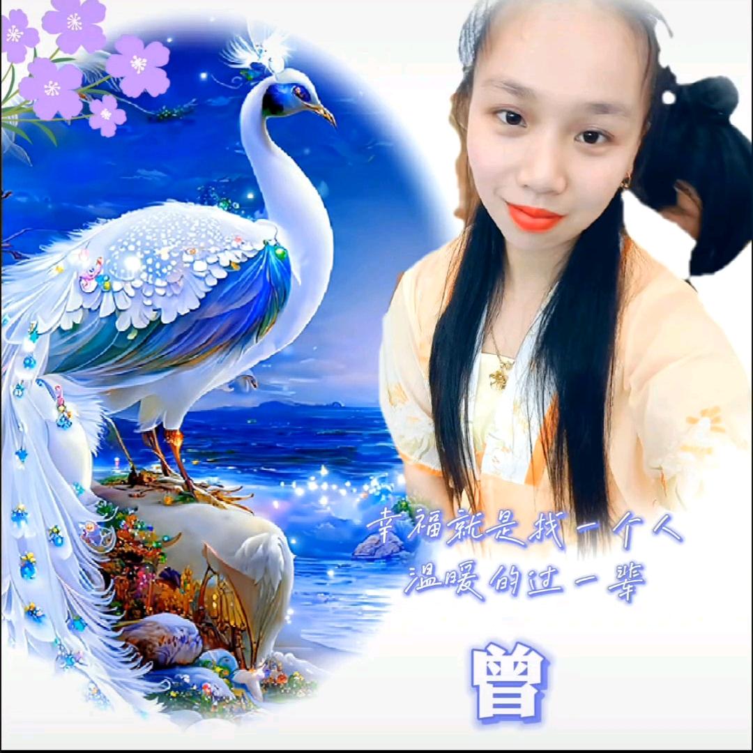 曾家三千金+三少爷