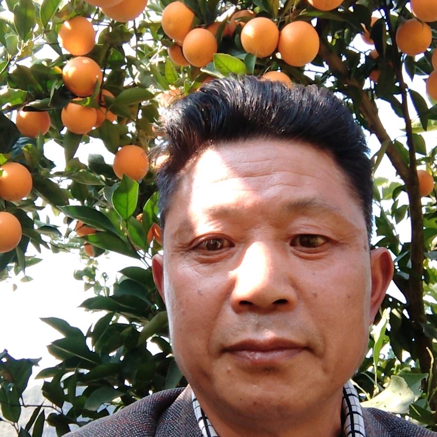 老虎哥（早上十点十分）