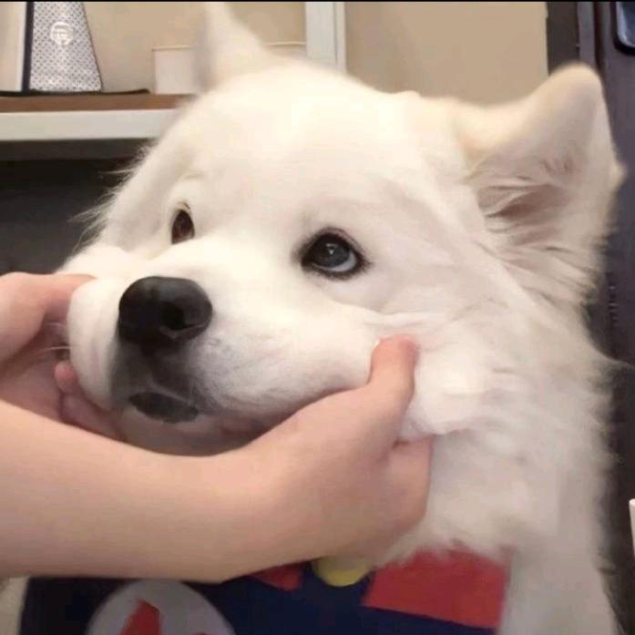 用户67282865