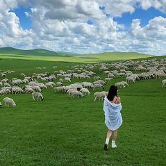 内蒙游-红马同行