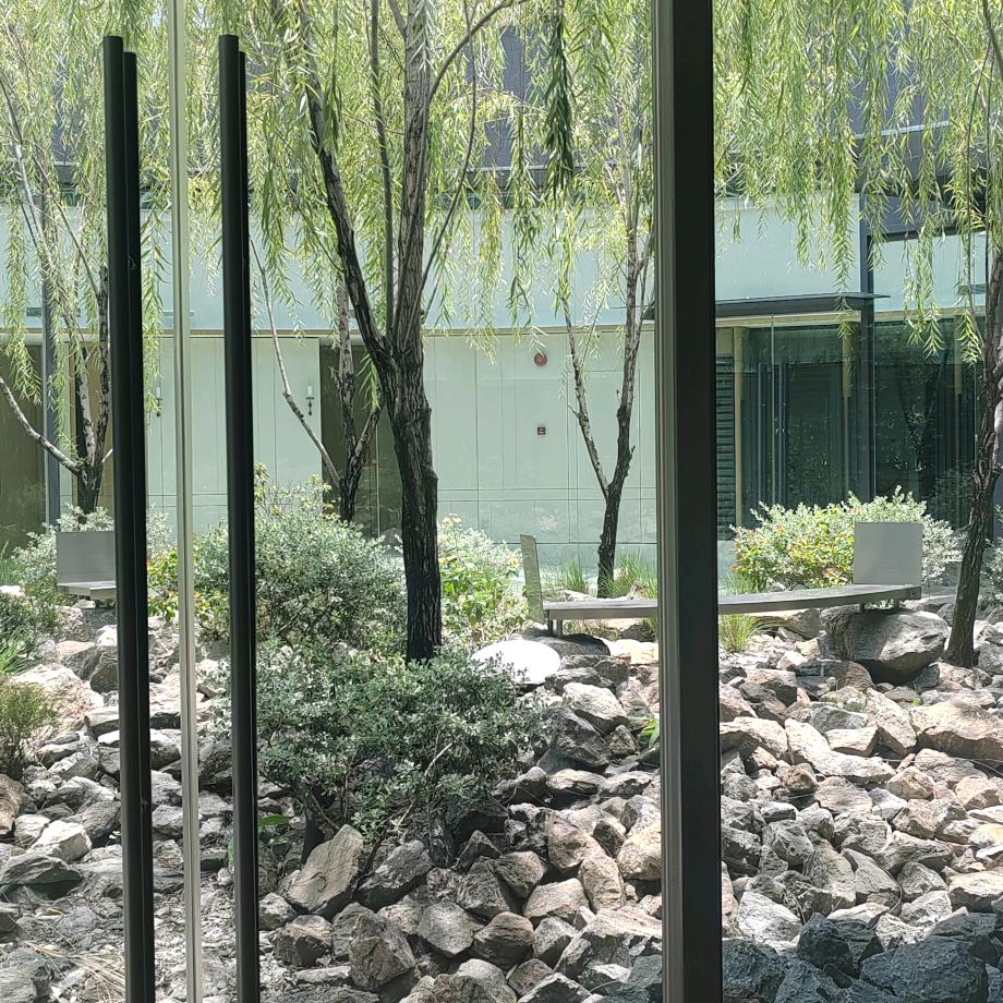 公益红娘（鑫妈）