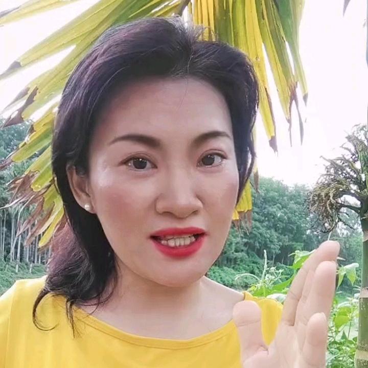 七仙钕