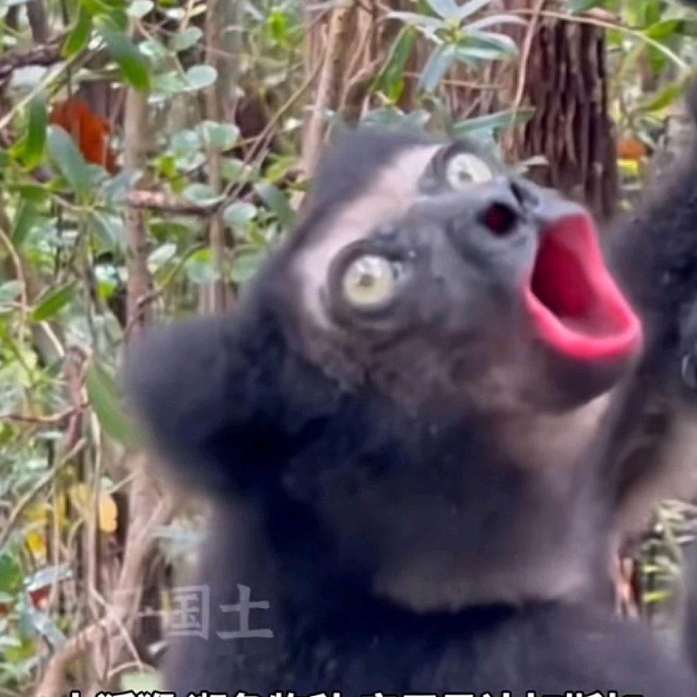 珀西瓦尔