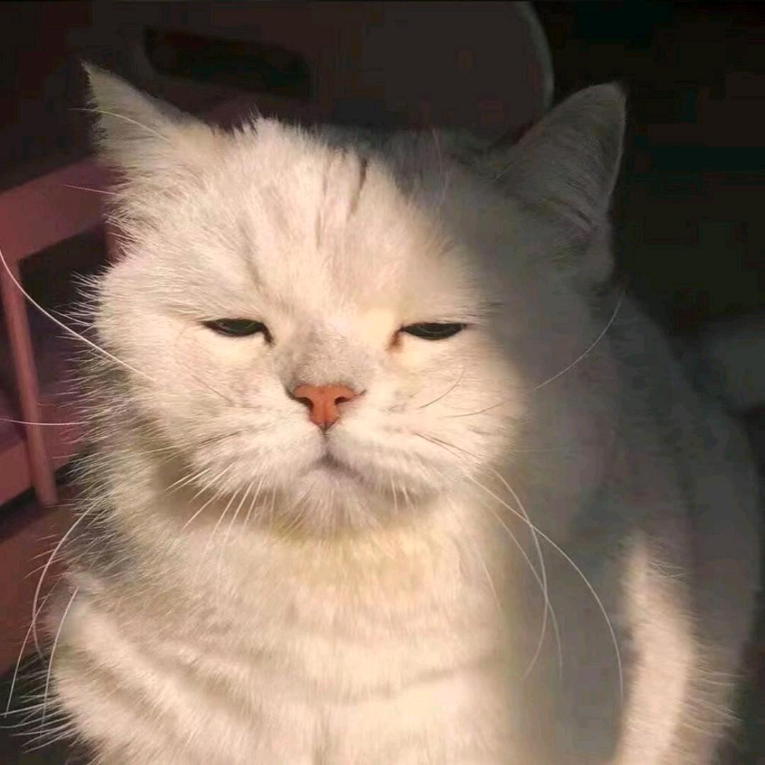 阿堇