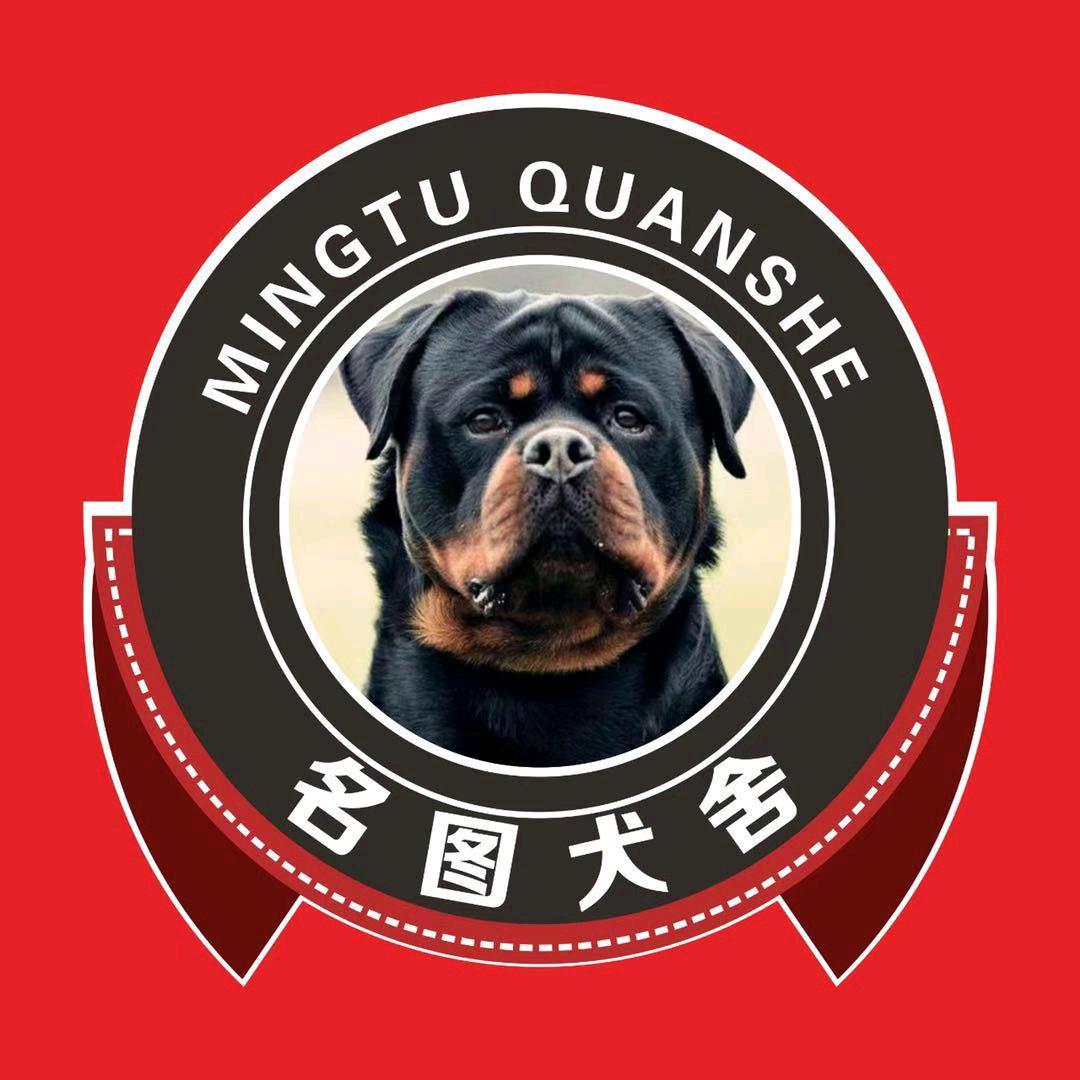 新乡名图宠物乐园