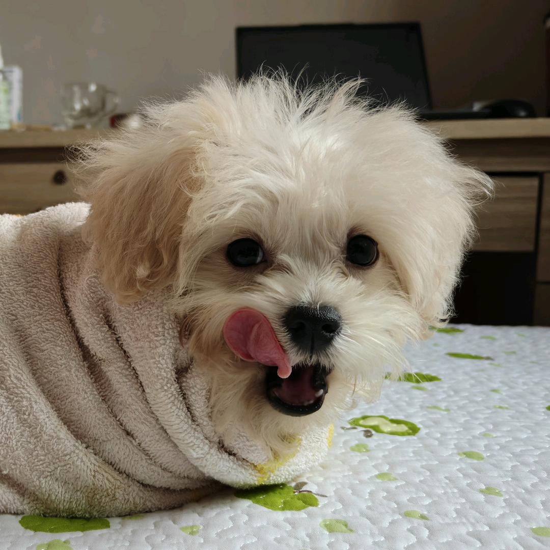 万籁俱寂