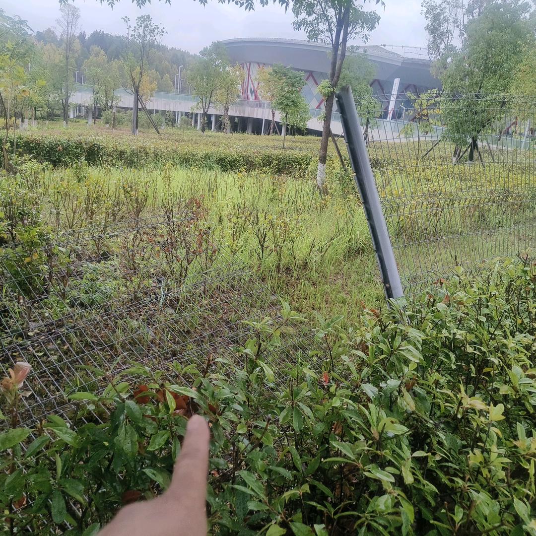 安全