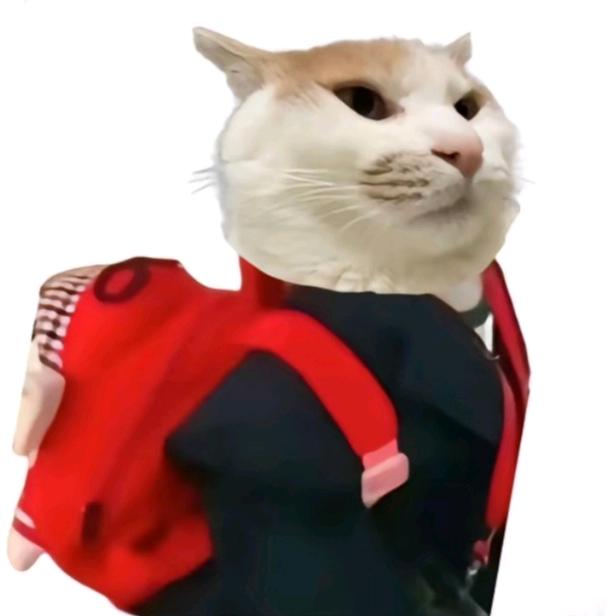 想次汉堡包