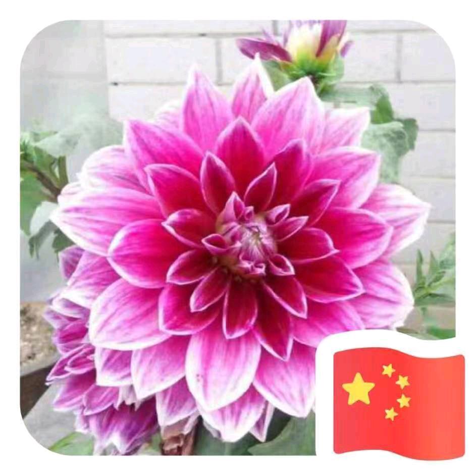 &€塒指￡紧抠&€鯢我￡