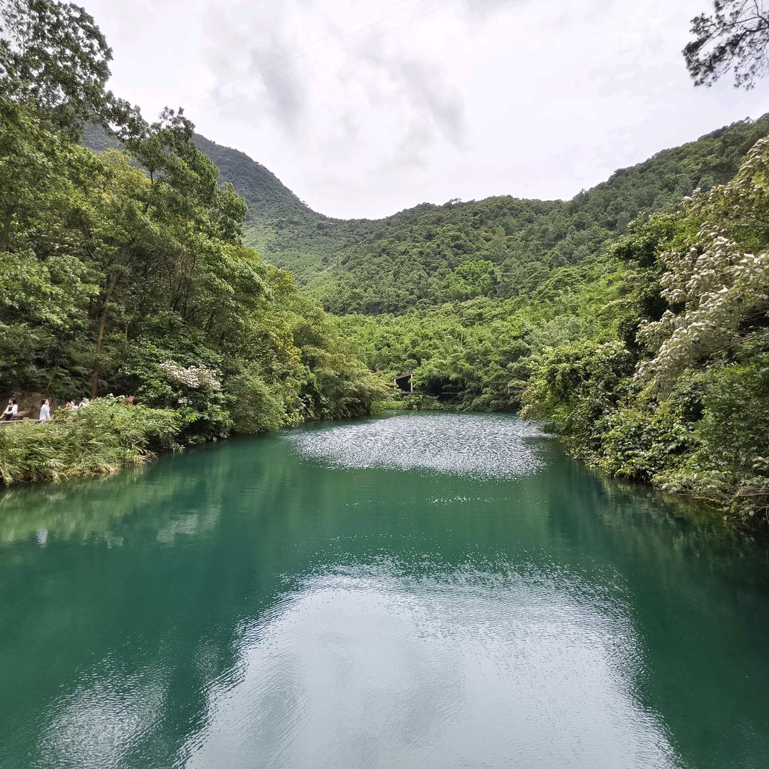 老贺探厂