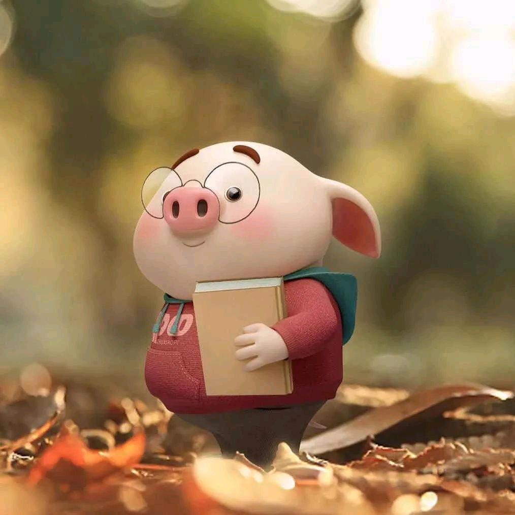 全屋装修定制～工厂(ღ˘⌣˘ღ)