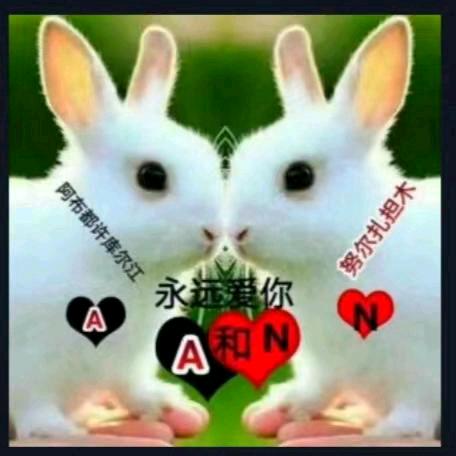 少管闲事🙏